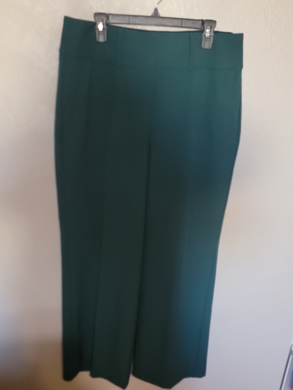 Lane Bryant Teal Wide-Leg Pants